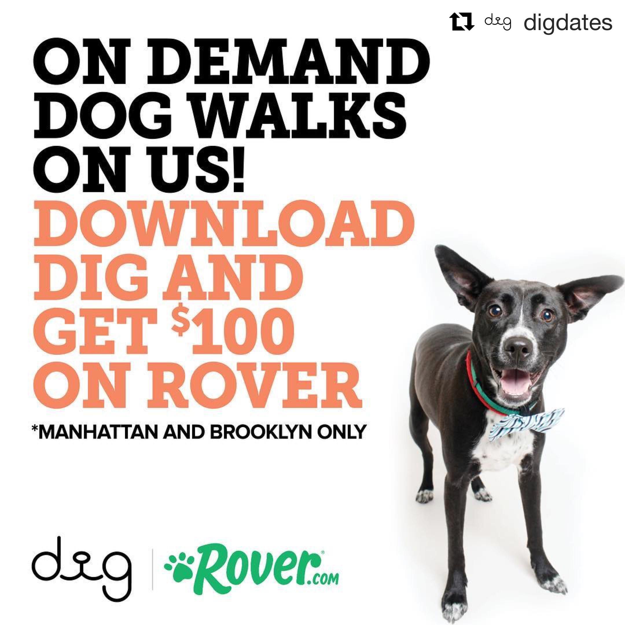 Dig Dog Dating App Crunchbase Ideas