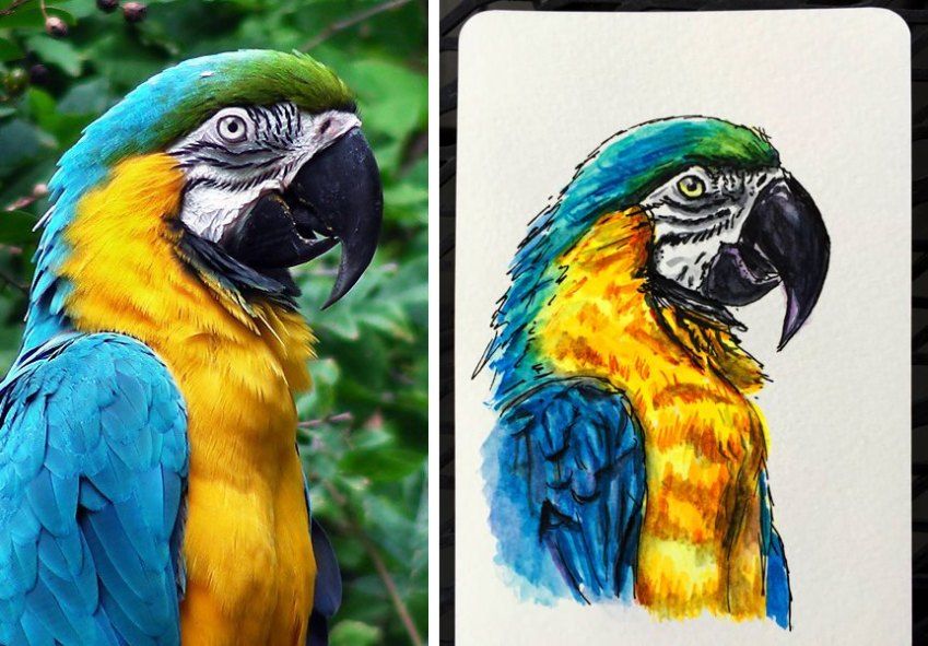 Free Reference Photos For Art 2021