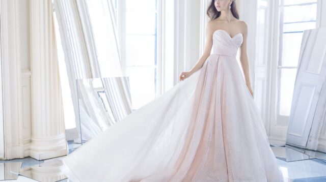 Lazaro Shimmer Wedding Dress References