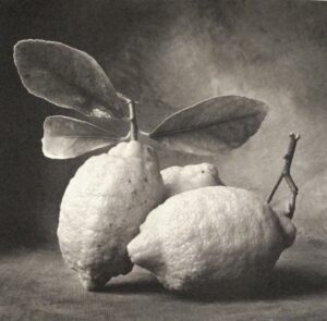 Print Artist 25 Platinum Review Ideas