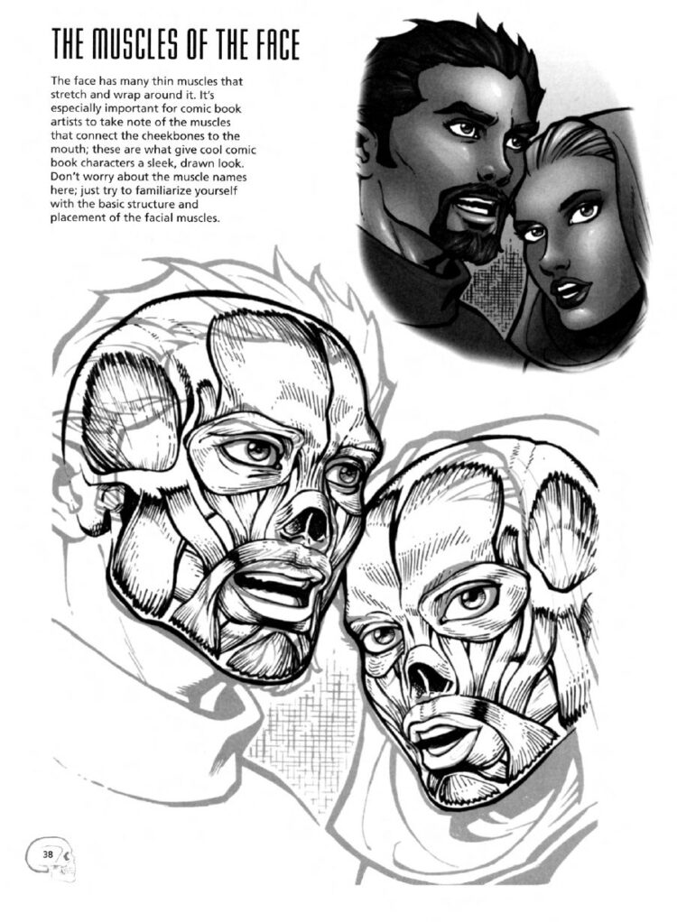 Best Anatomy Books For Comic Artists References PrestaStyle