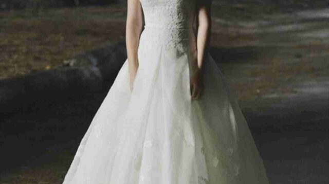 April’s Wedding Dress Grey’s Anatomy Episode References